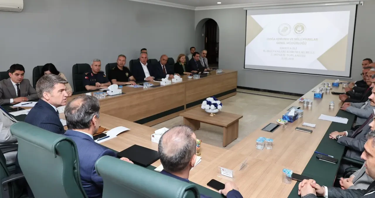 Amasya’da Sahipsiz Hayvanlar İçin Kurul Toplantısı Düzenlendi 2