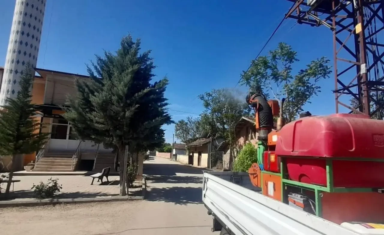 Amasya’da Haşereyle Mücadele Seferberliği! 3