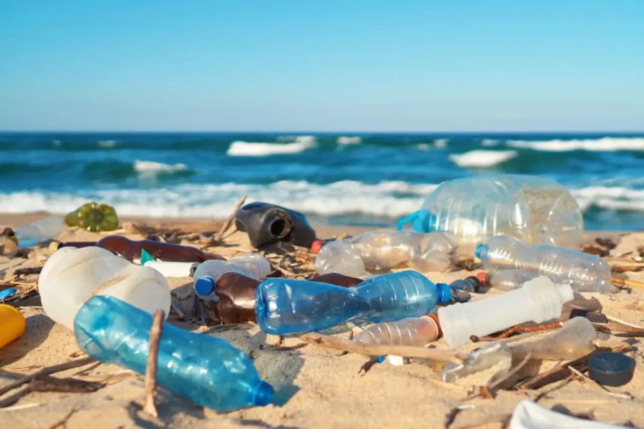 Acar: Her Yıl Yaklaşık 23 Ton Plastik Doğal Yaşam Alanlarını Bozuyor! 1
