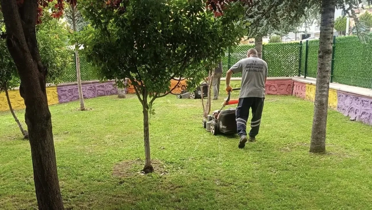 Amasya Belediyesi: Şehir Güzelliği Ekip Ruhu ve Emekle Mümkün 2