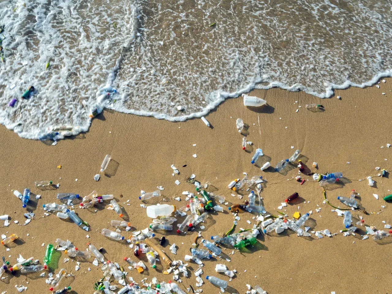 Acar: Her Yıl Yaklaşık 23 Ton Plastik Doğal Yaşam Alanlarını Bozuyor! 2
