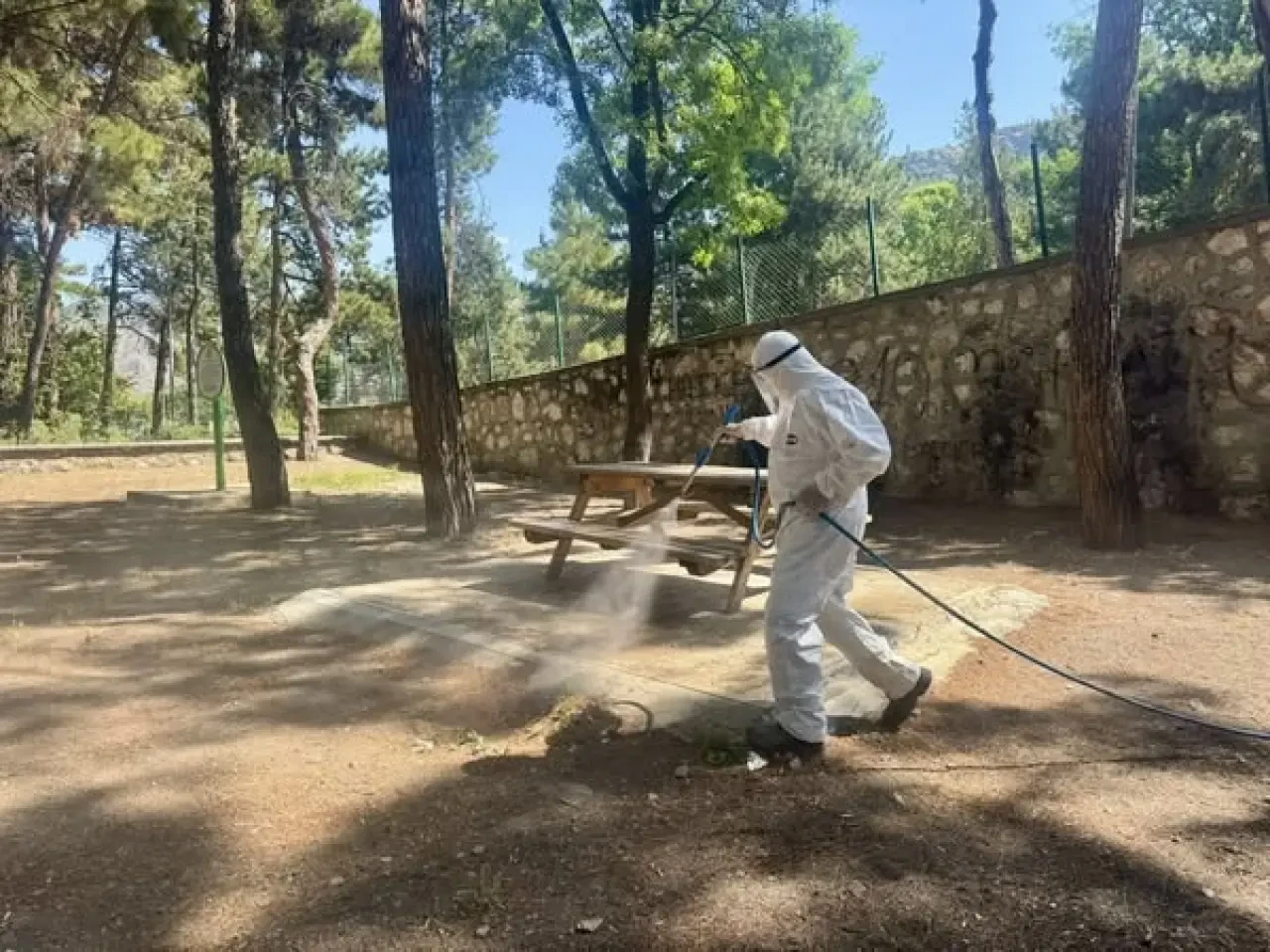 Amasya Belediyesi’nden Pirler Parkı’nda Yoğun Temizlik ve İlaçlama Mesaisi 1
