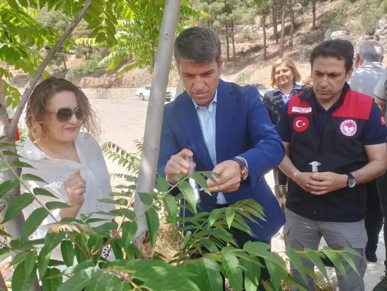 Amasya’da 3.000 Samuray Arısı Doğaya Salındı 1