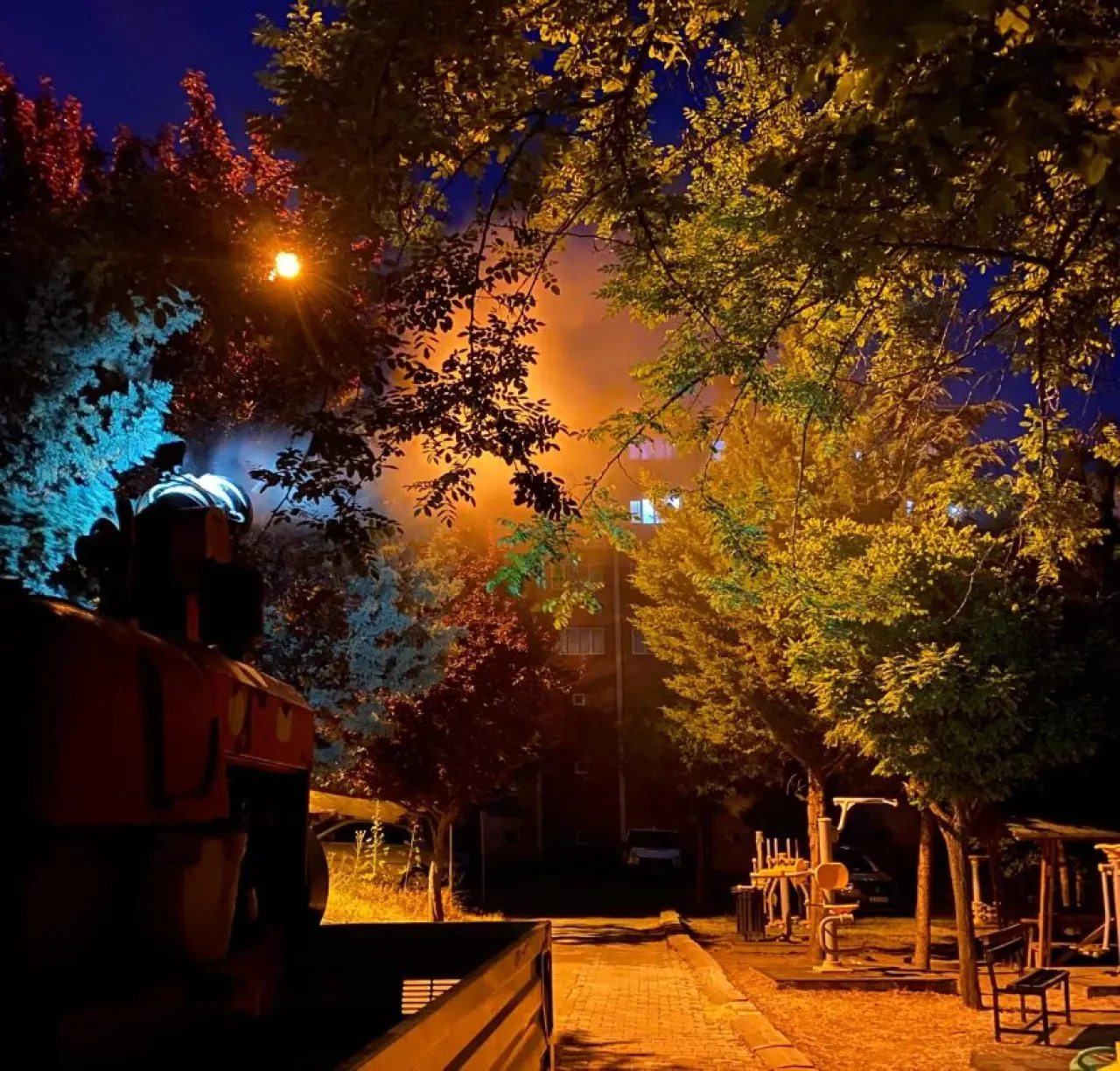Amasya Belediyesi'nden Sivrisinek ve Haşereyle Etkin Mücadele 4