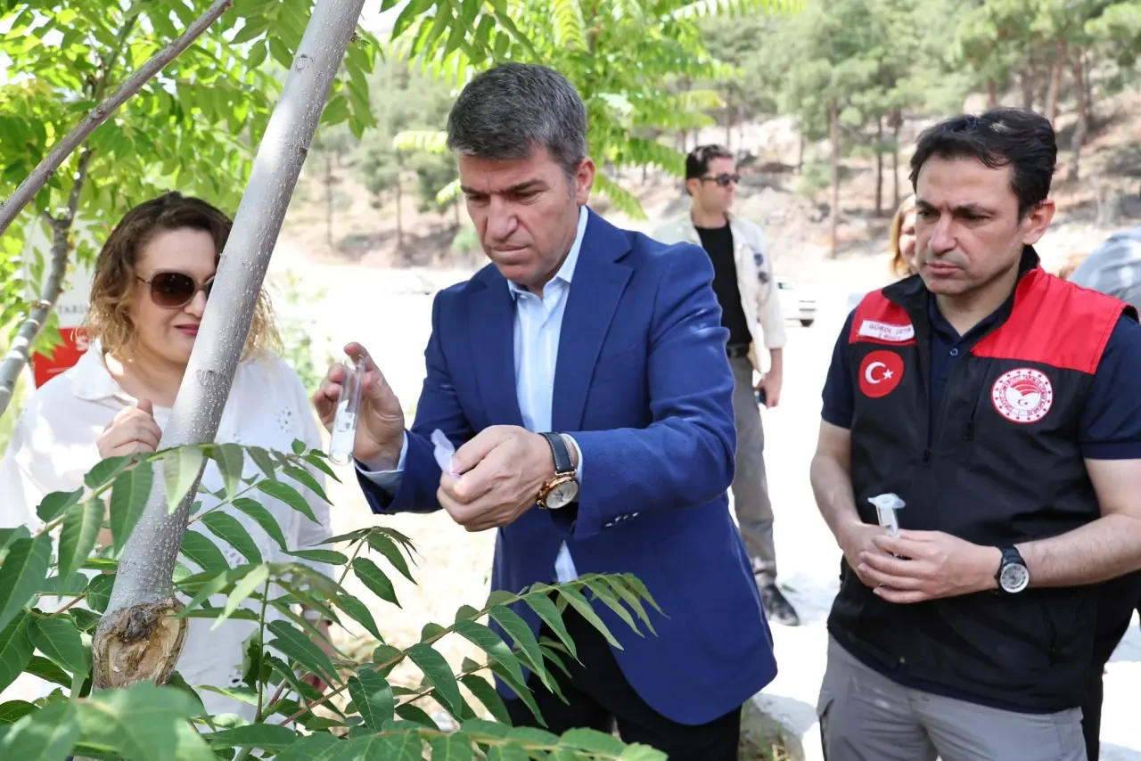Amasya’da 3.000 Samuray Arısı Doğaya Salındı 4