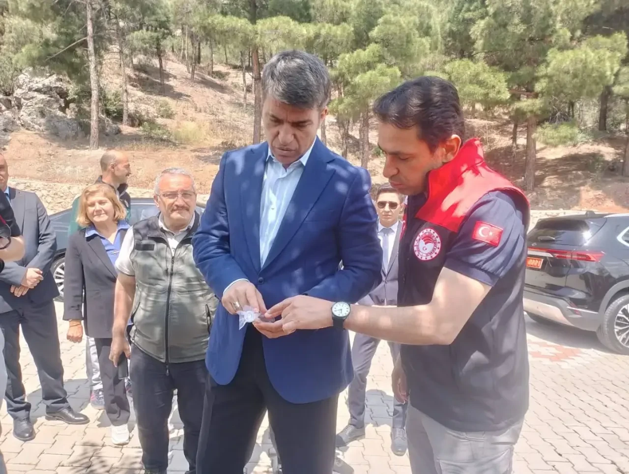 Amasya’da 3.000 Samuray Arısı Doğaya Salındı 3