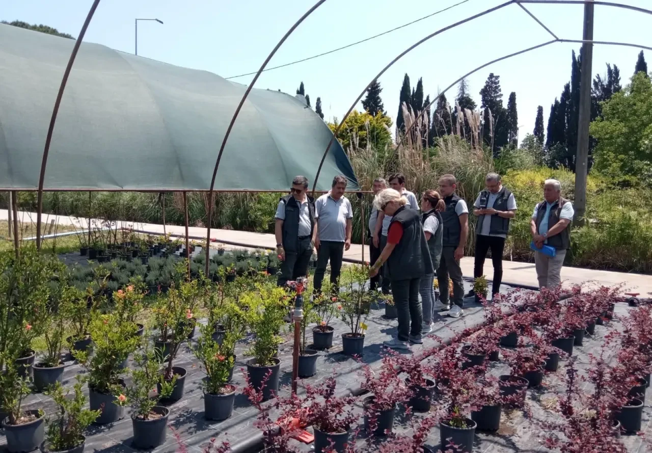 Fidanlık ve Tohum İşleri Heyetinden Amasya Orman Bölge Müdürlüğü’ne Teknik Ziyaret 4