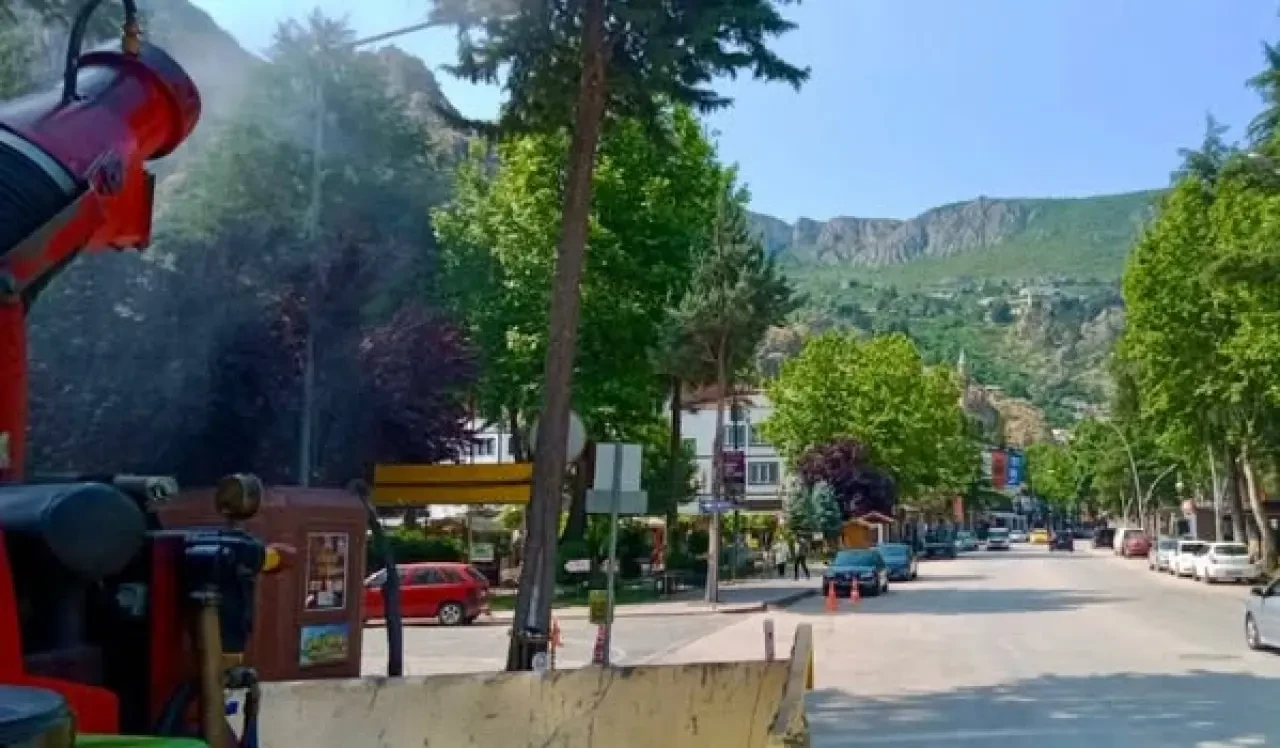 Amasya Belediyesi'nden Sivrisinek ve Haşereyle Etkin Mücadele 1