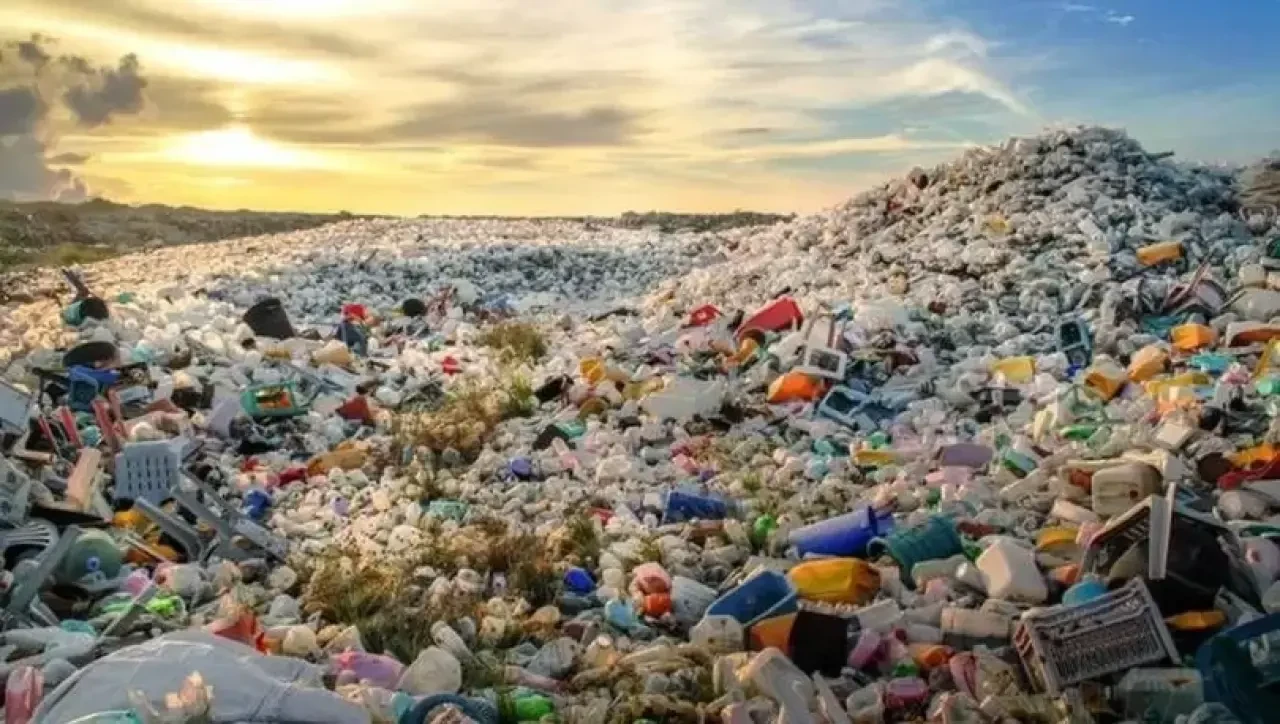 Acar: Her Yıl Yaklaşık 23 Ton Plastik Doğal Yaşam Alanlarını Bozuyor! 3