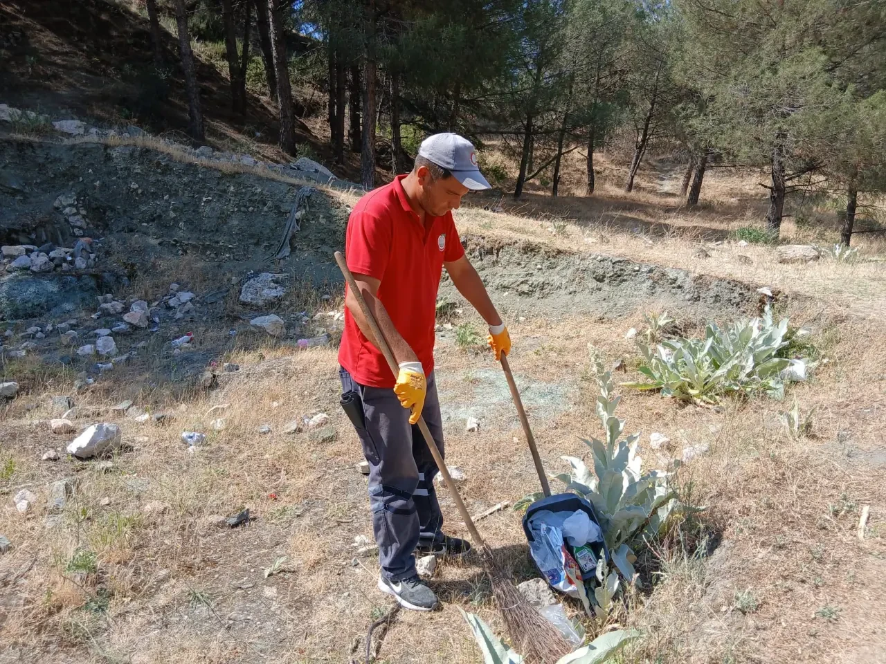 Amasya Belediyesi: Şehir Güzelliği Ekip Ruhu ve Emekle Mümkün 1