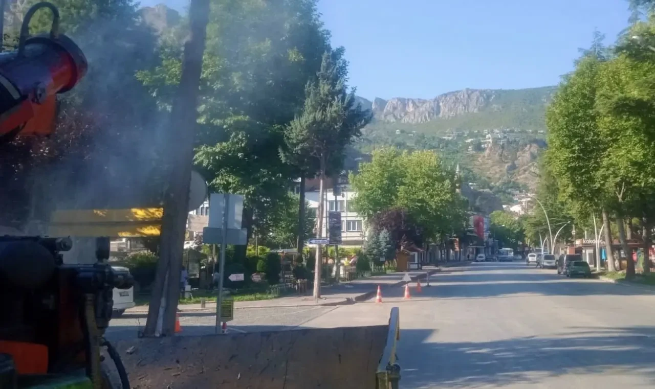 Amasya’da Yaz Temizliği: Hedef Sinek Yuvaları 2