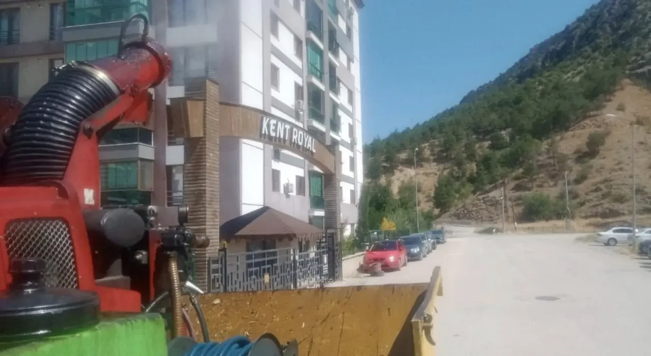 Amasya’da Yaz Temizliği: Hedef Sinek Yuvaları 4