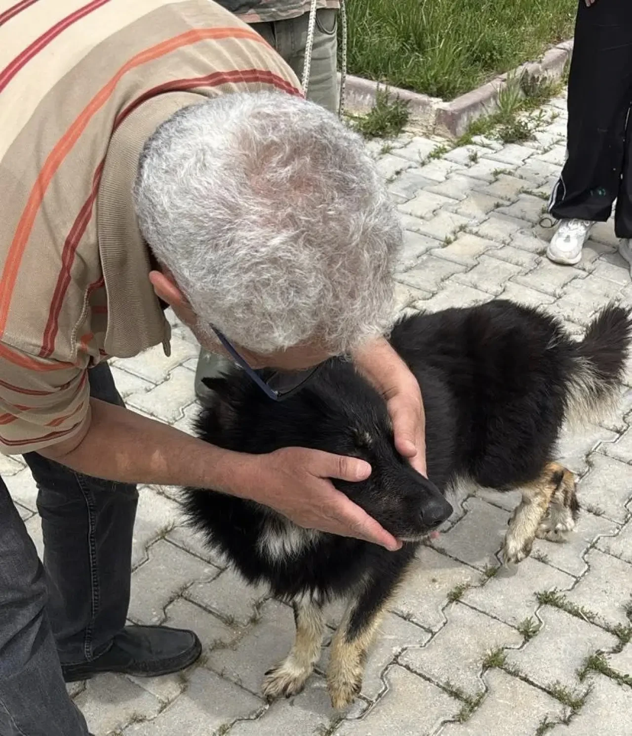 Amasya’da Patili Dostlara Sıcacık Yuva! 3