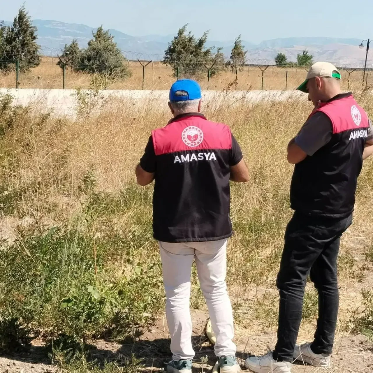 Amasya Misket Elması Gen Bahçesinde Fidan Bakımları Titizlikle Sürdürülüyor 3
