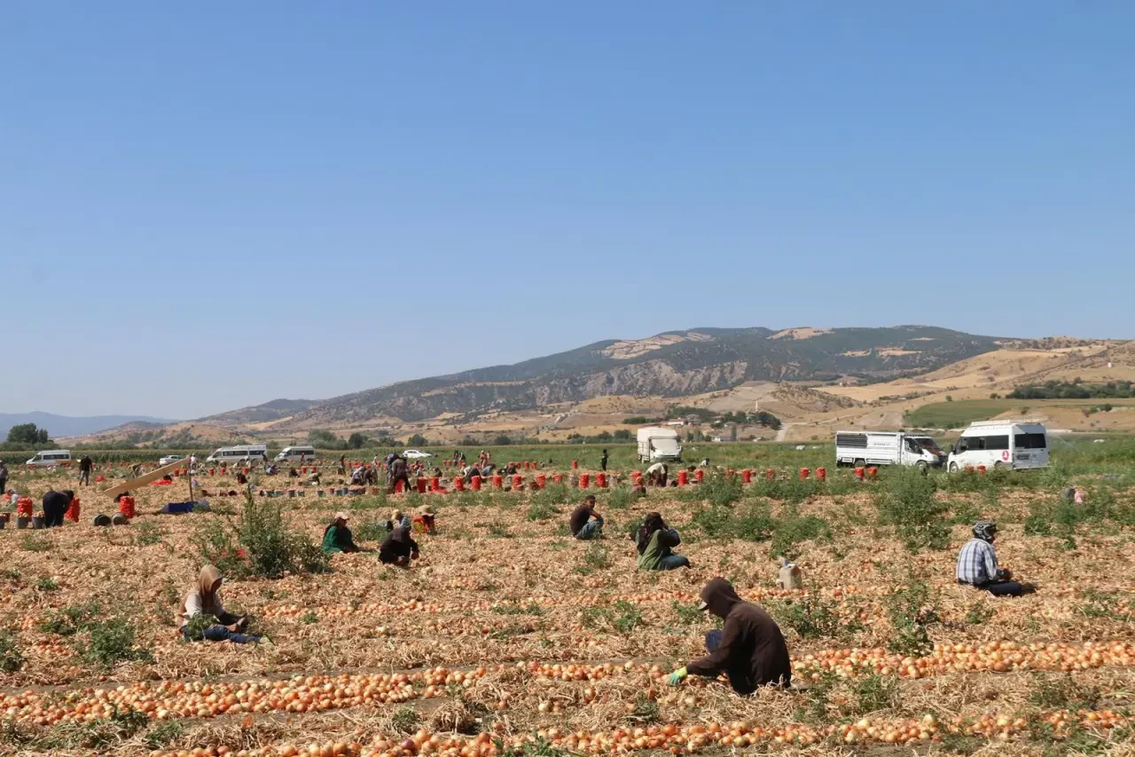 AK Parti Amasya İl Başkanı Galip Uzun’dan Mevsimlik Tarım İşçilerine Ziyaret 5