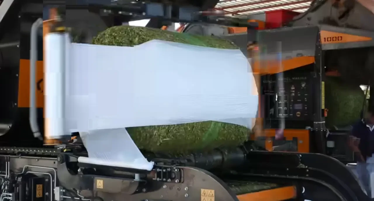 Amasya Damızlık ve Sığır Yetiştiricileri Birliği’nde 2025 Mısır Silajı Sezonu Başladı 2