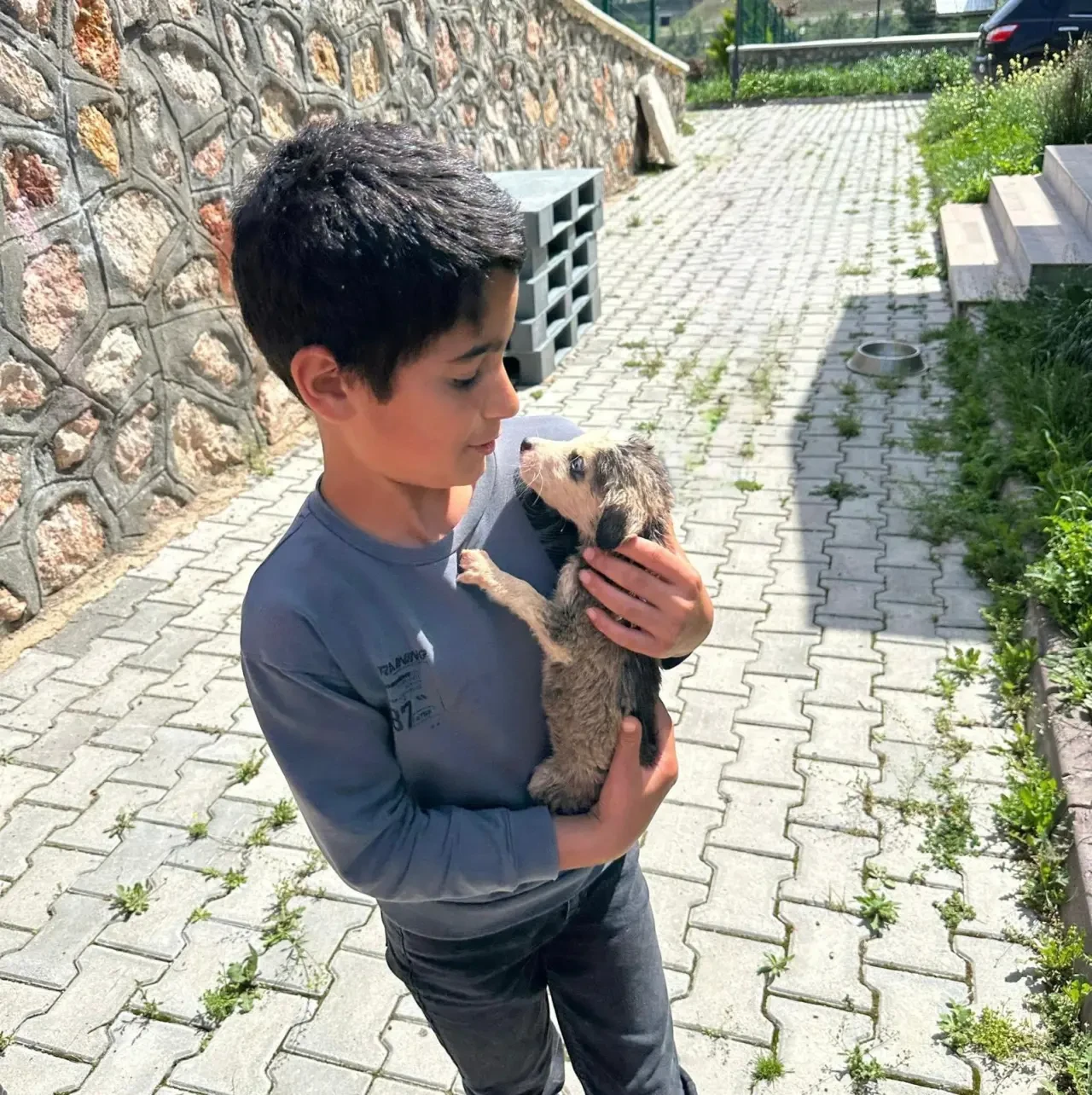 Amasya’da Patili Dostlara Sıcacık Yuva! 2