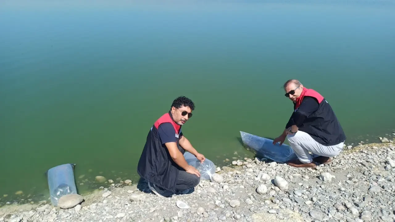 Merzifon’da 2 Gölete 200 Bin Sazan Yavrusu Bırakıldı 1