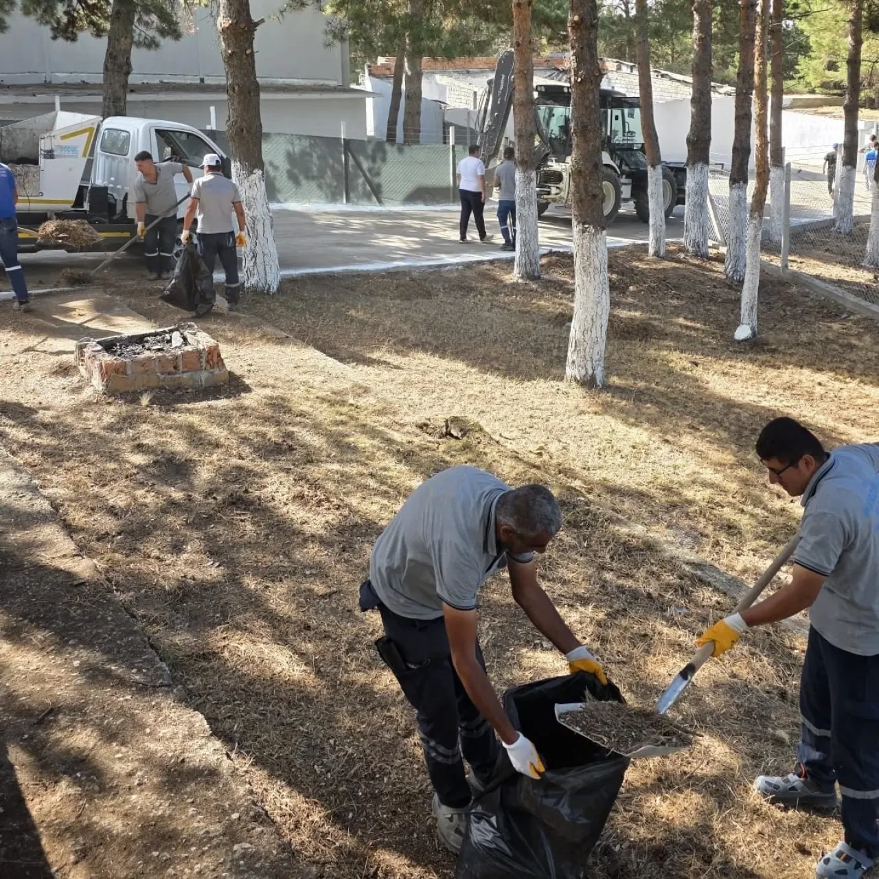 Merzifon Belediyesi’nden Hayvan Barınağı ve Doğal Yaşam Alanında Temizlik Çalışması 5