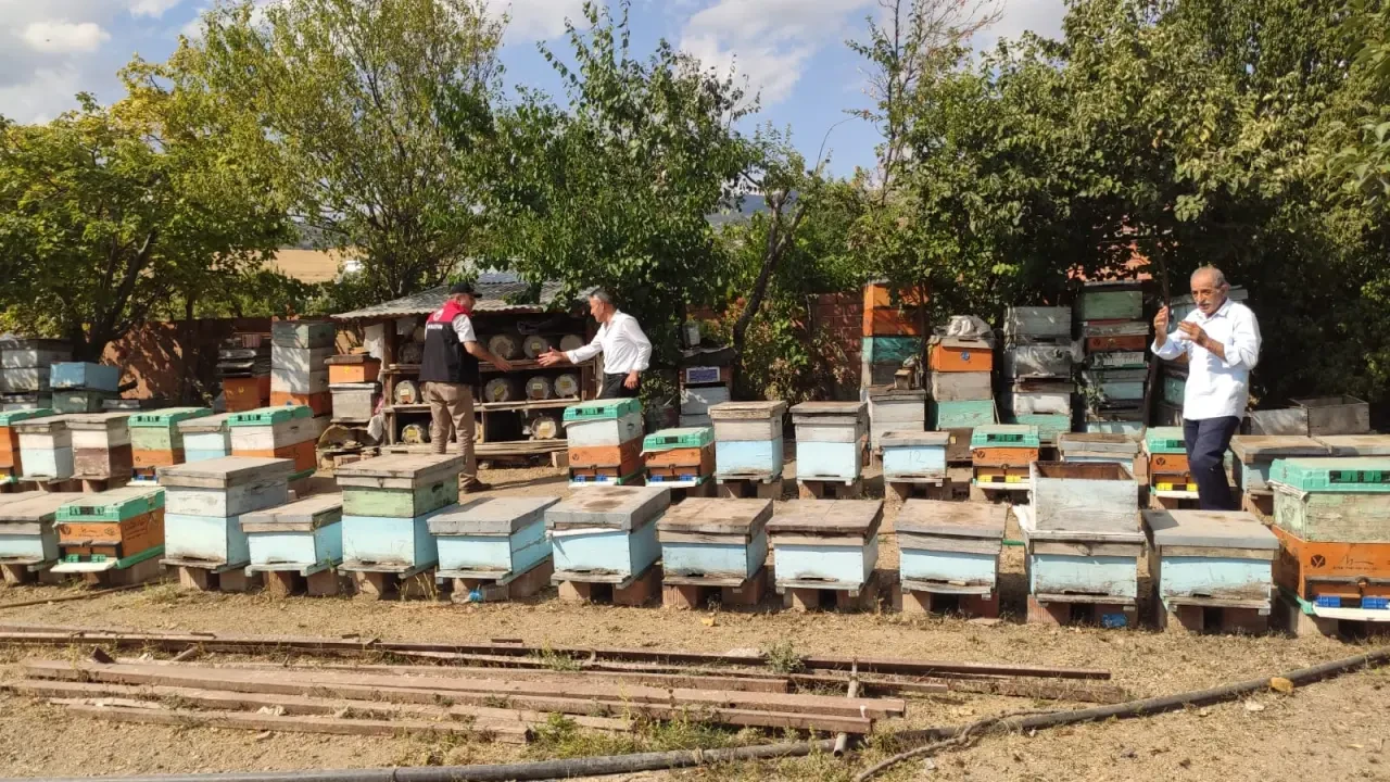 Merzifon’da Arıcılık Faaliyetlerine Destek ve Denetim 3