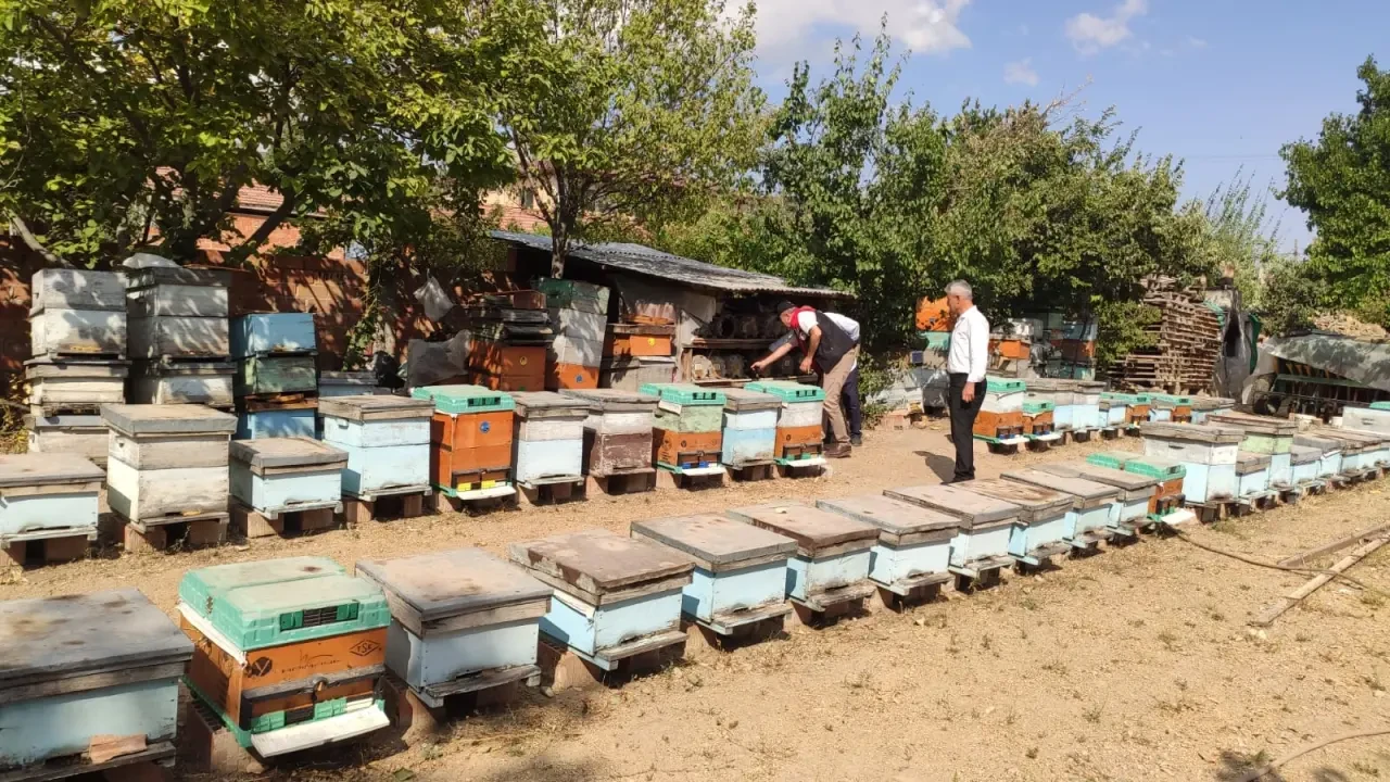 Merzifon’da Arıcılık Faaliyetlerine Destek ve Denetim 2