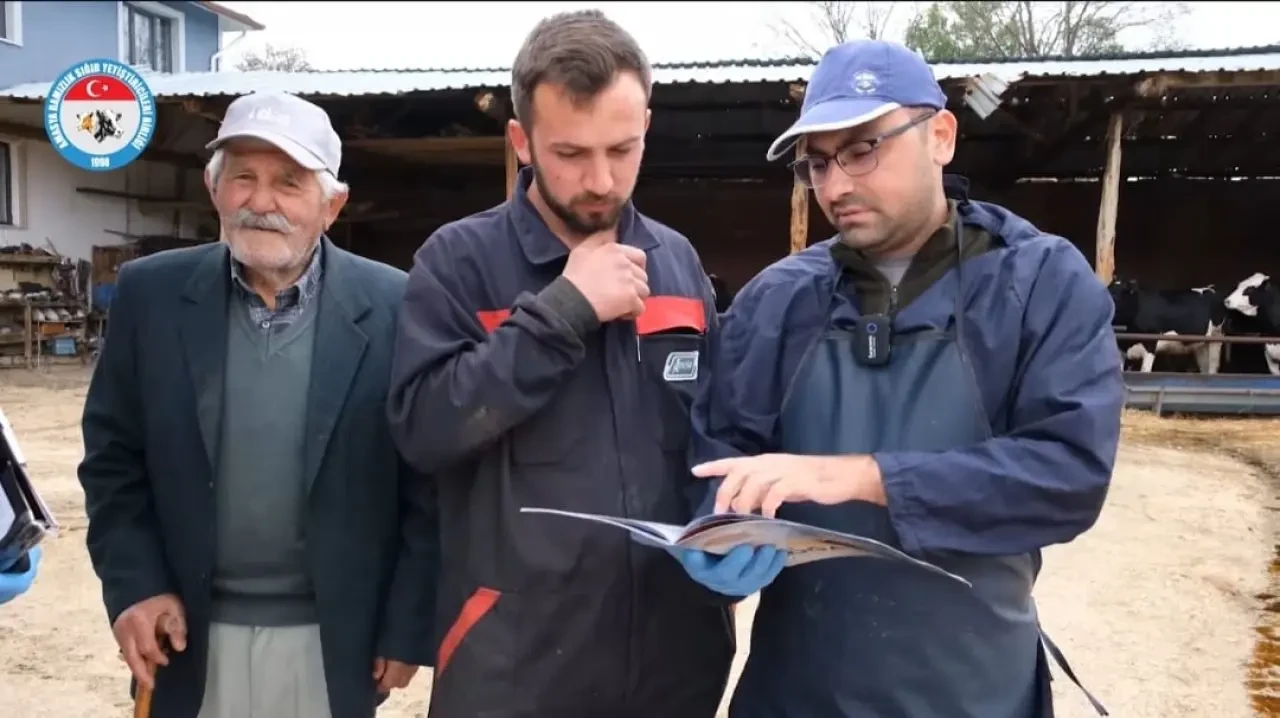 DSYB, Hayvan Islahı ve Verimlilik İçin Çalışmalarını Sürdürüyor 2