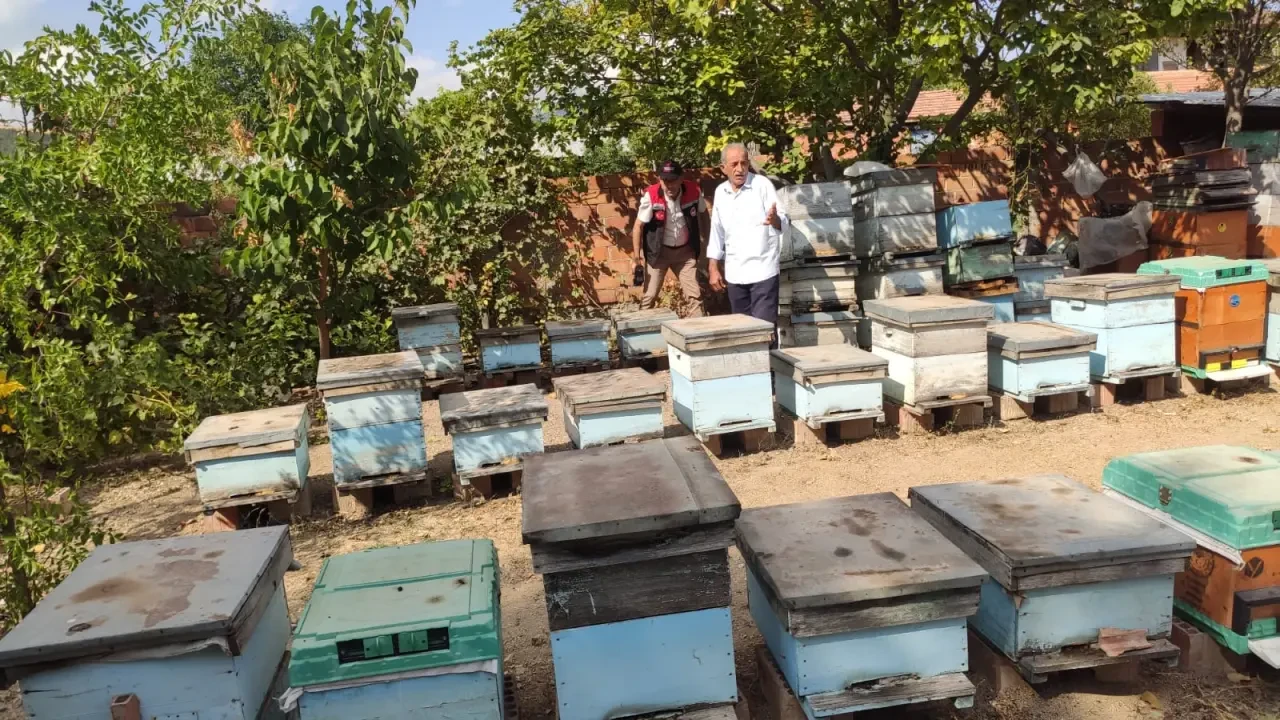 Merzifon’da Arıcılık Faaliyetlerine Destek ve Denetim 1