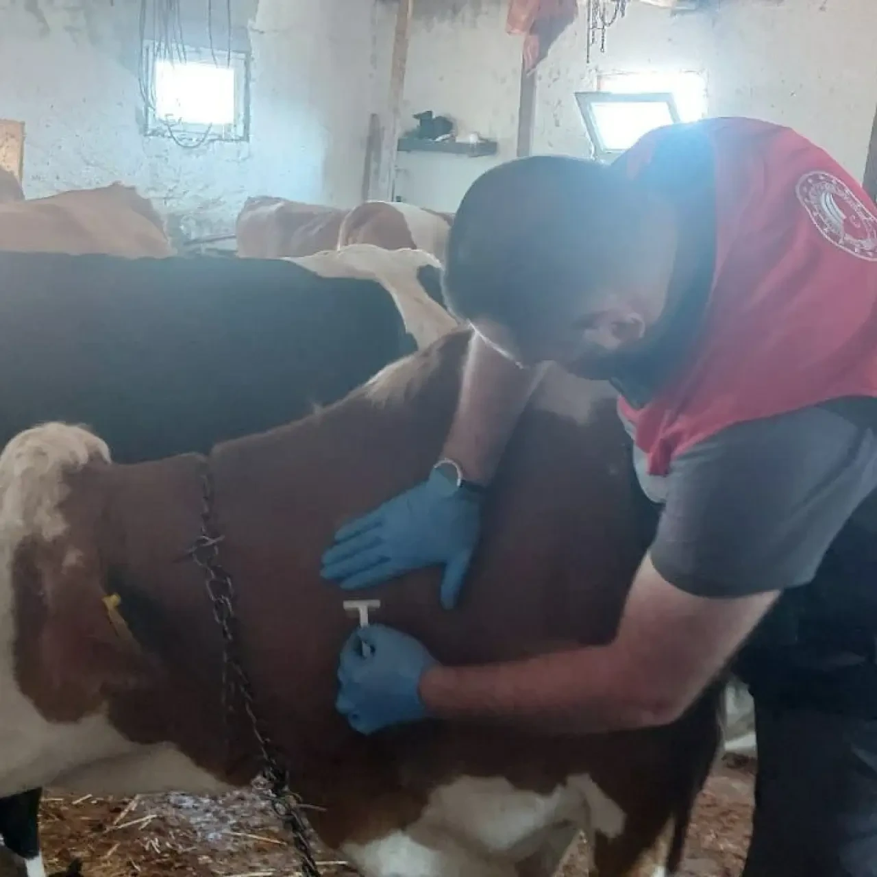 Amasya’da Tüberkülozla Mücadele Çalışmaları Titizlikle Sürdürülüyor 5