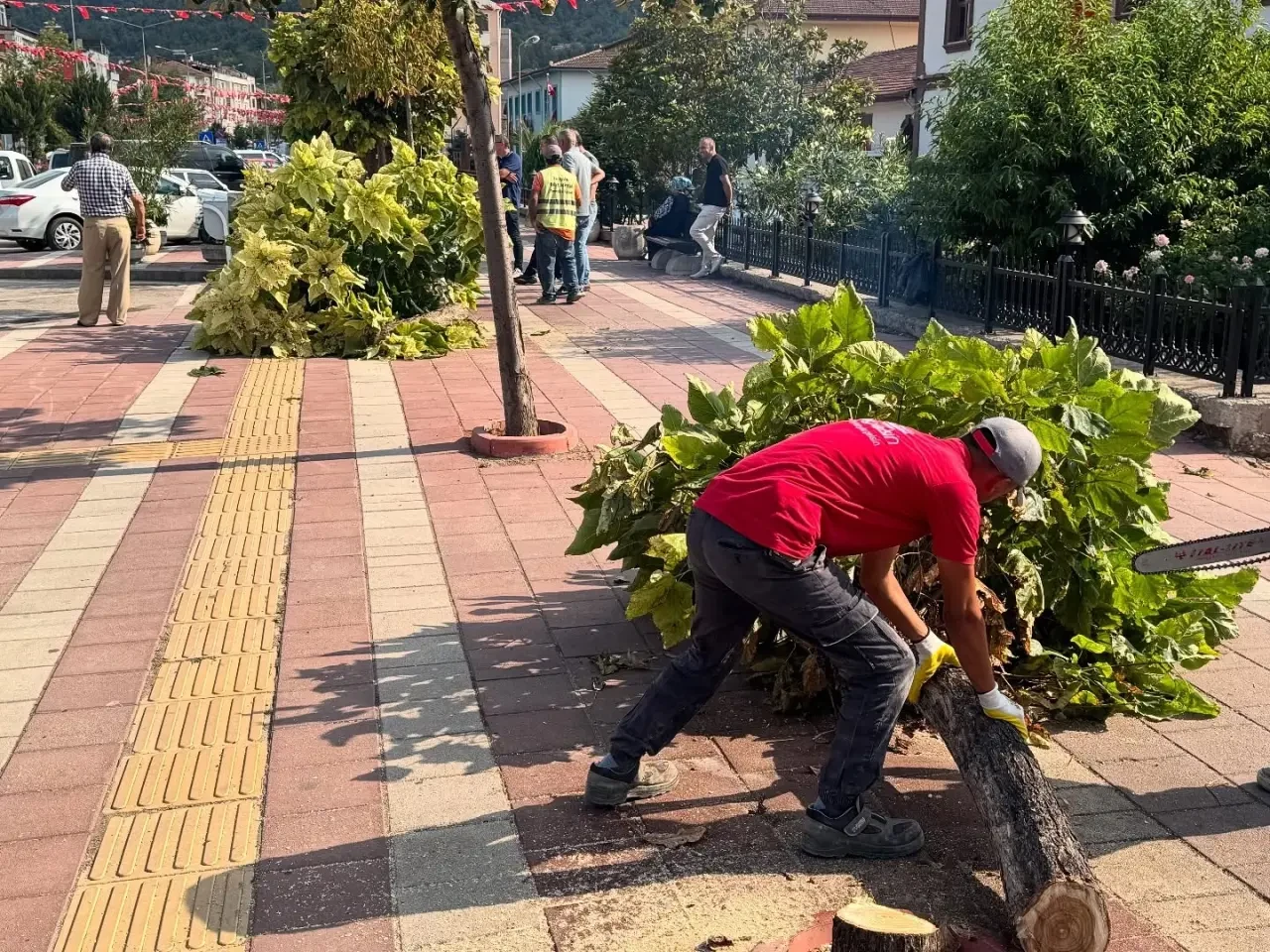 Taşova Belediyesi’nden Atatürk Bulvarı’nda Yeşillendirme Çalışması 2
