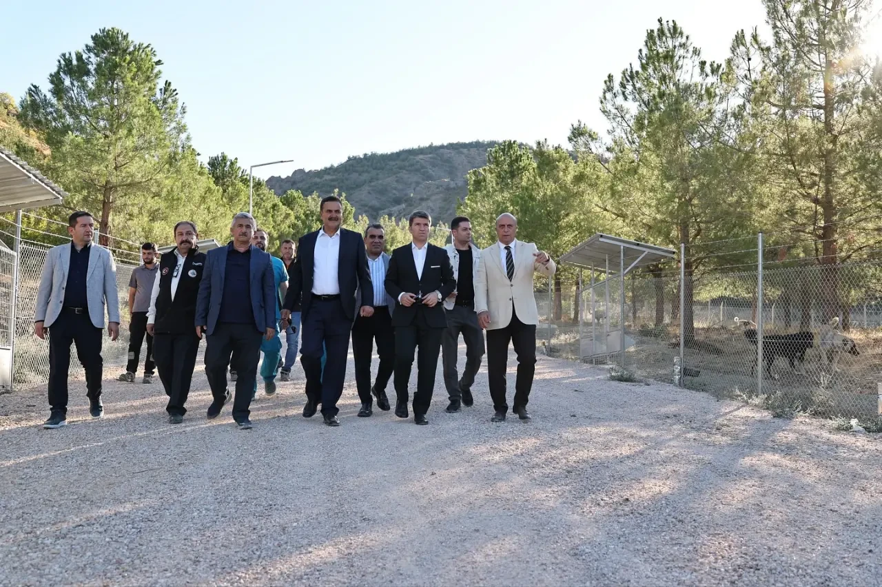 Amasya’da Sokak Hayvanlarına Yeni Yuva 3