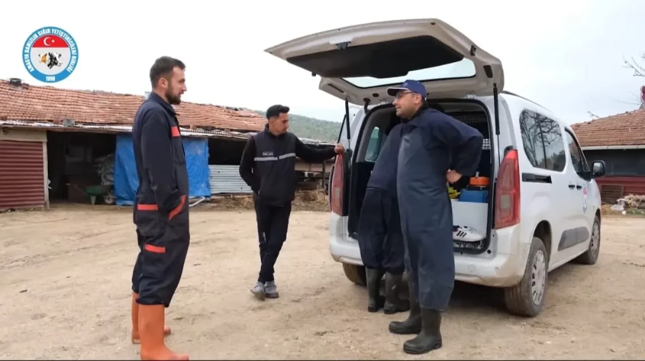 DSYB, Hayvan Islahı ve Verimlilik İçin Çalışmalarını Sürdürüyor 1