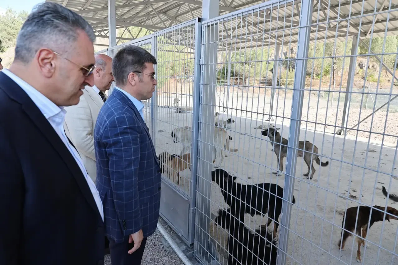 Amasya’da Sokak Hayvanları Barınağı Tamamlandı 2