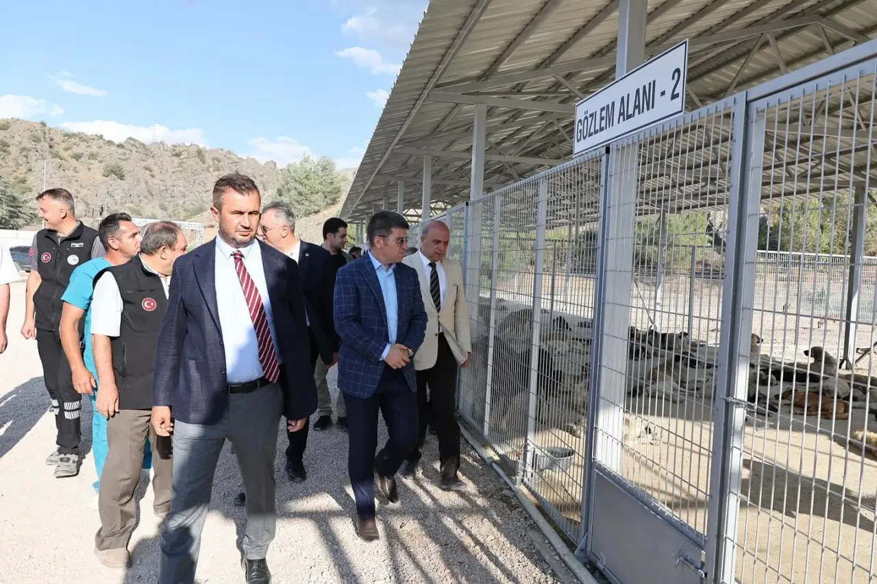 Amasya’da Sokak Hayvanları Barınağı Tamamlandı 4