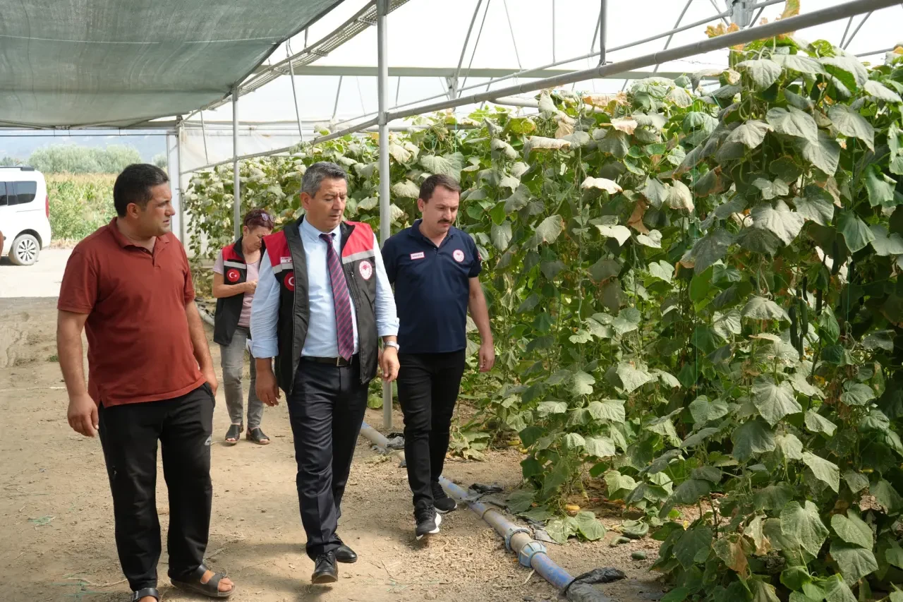 İl Tarım ve Orman Müdürü Ahmet Arslan’dan Sera Ziyareti 2