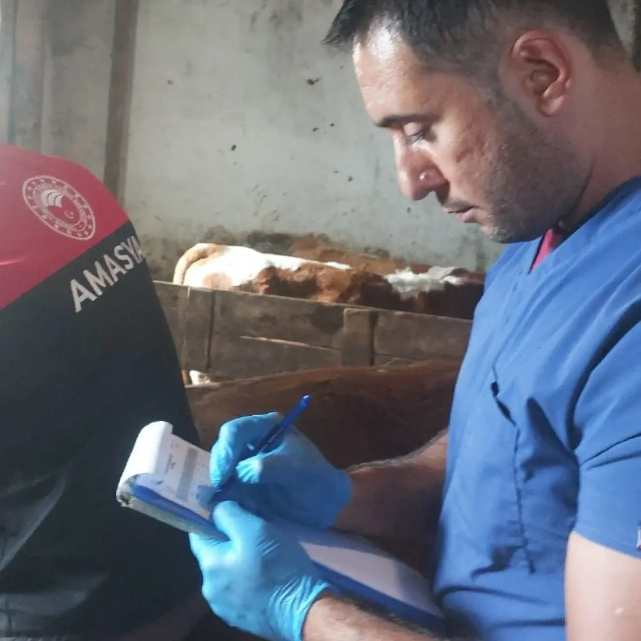 Amasya’da Tüberkülozla Mücadele Çalışmaları Titizlikle Sürdürülüyor 4