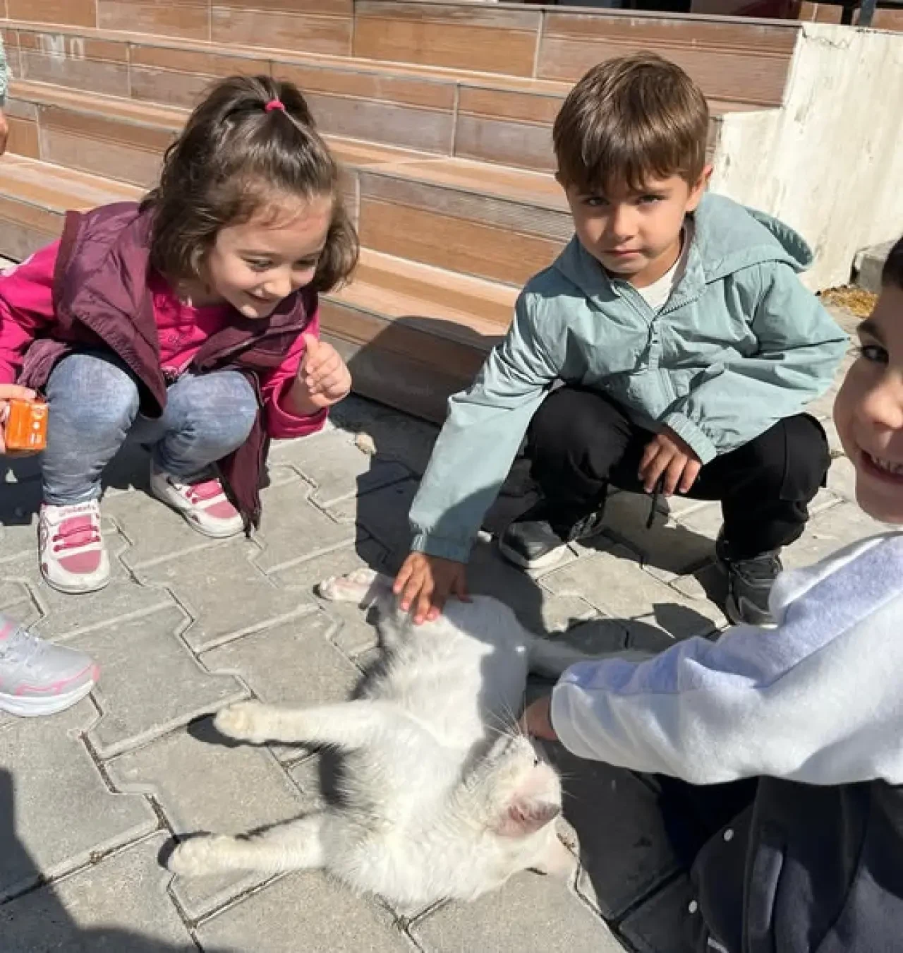 Amasya’da Minikler Hayvan Sevgisini Doyasıya Yaşadı 1