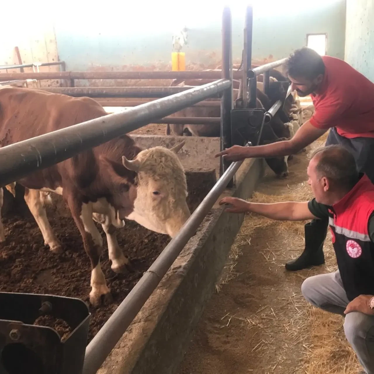 Amasya’da Uzman Eller Projeleri Yerinde İncelendi 3