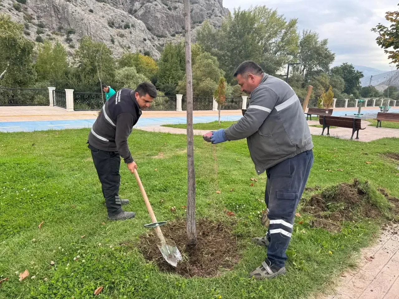 Amasya Belediyesi’nden Yeşil Alanlarda Mevsimsel Bakım Çalışmaları 1