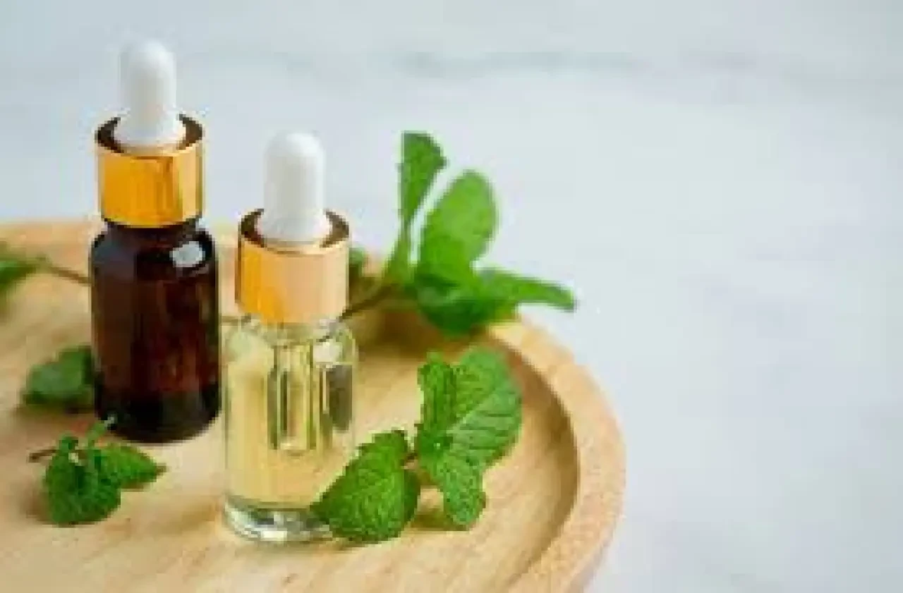 Doğal ve Sürdürülebilir Hayatı Benimseyenlerin Bakması Gereken Cilt Bakım Ürünleri 2