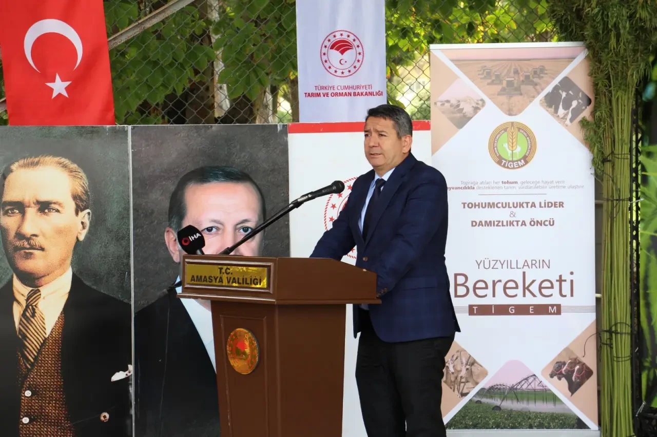 Gökhöyük’te Kenevir Hasadı Yapıldı 2