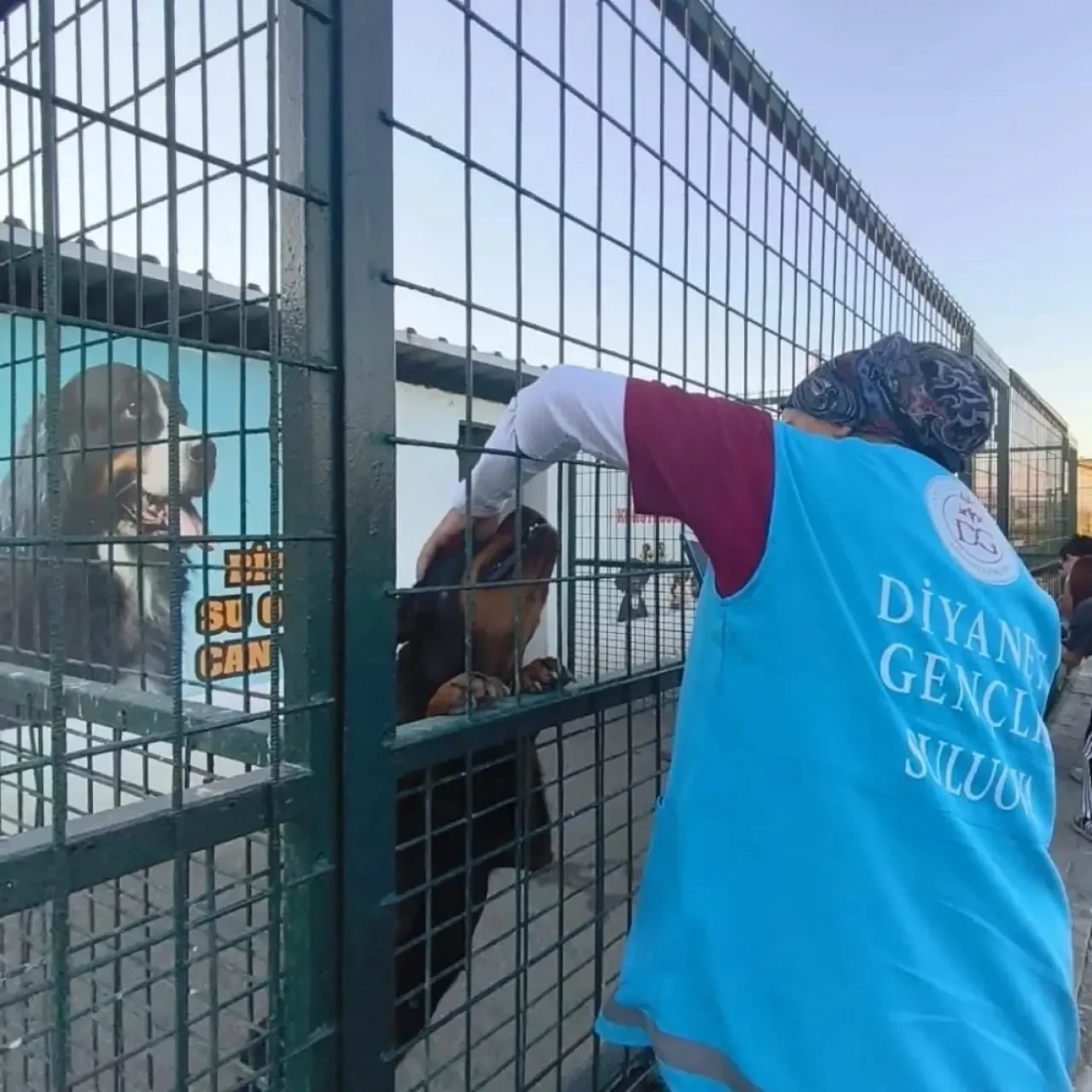 Suluovalı Gençlerden Hayvanlara Sevgi Dolu Ziyaret 1