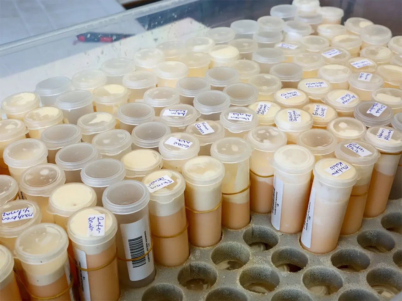 Amasya DSYB’den Süt Analizinde Bilimsel Hamle 3