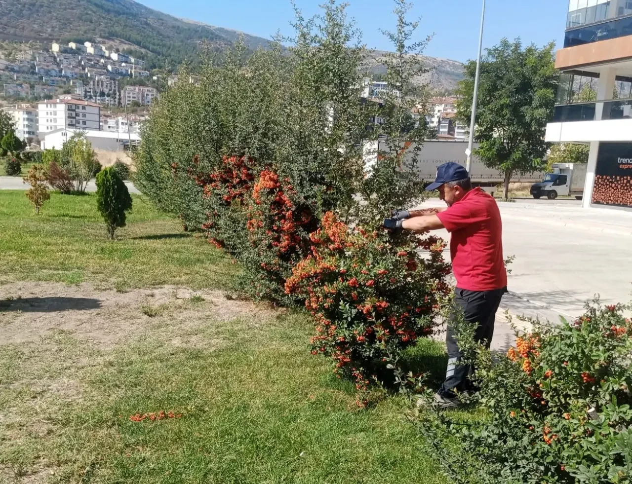 Amasya Gece Gündüz Güzelleşiyor 5