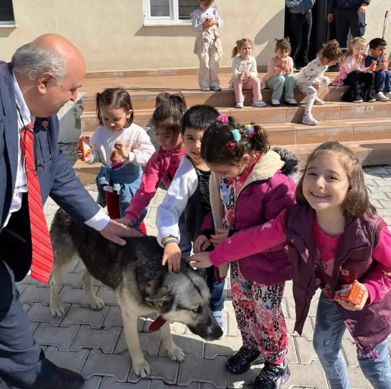 Amasya’da Minikler Hayvan Sevgisini Doyasıya Yaşadı 3