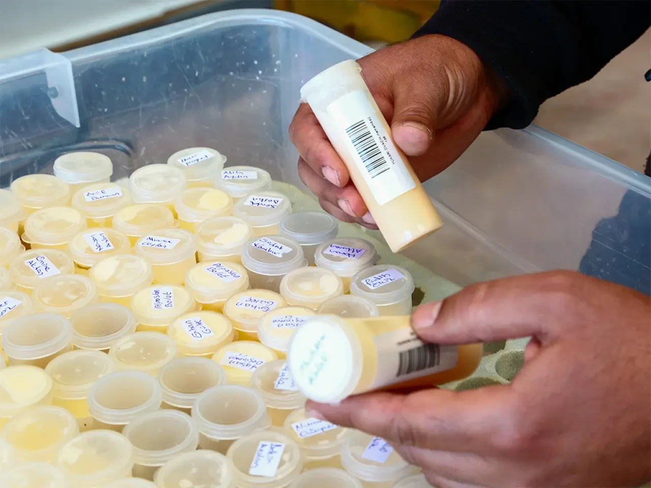 Amasya DSYB’den Süt Analizinde Bilimsel Hamle 1