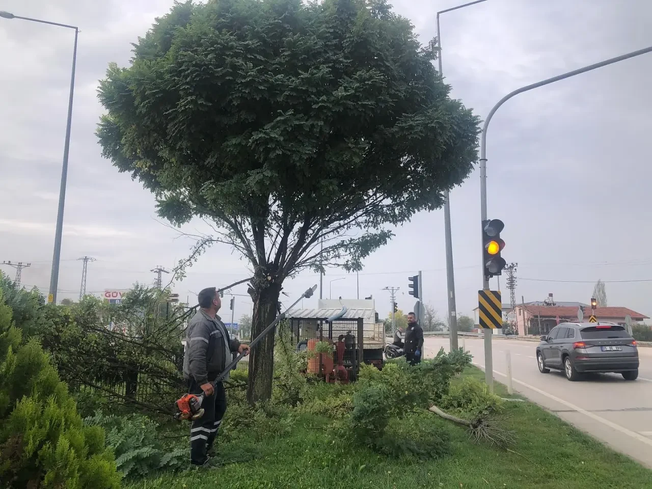 Amasya Belediyesi’nden Yeşil Alanlarda Mevsimsel Bakım Çalışmaları 4