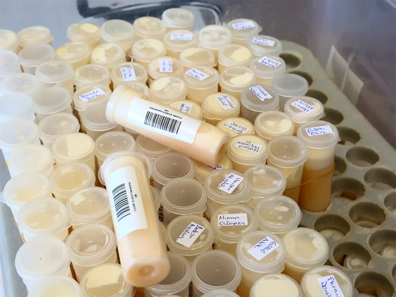 Amasya DSYB’den Süt Analizinde Bilimsel Hamle 2