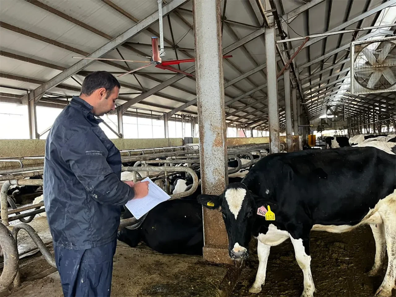 Amasya DSYB’den Tip Sınıflandırma Çalışması 1