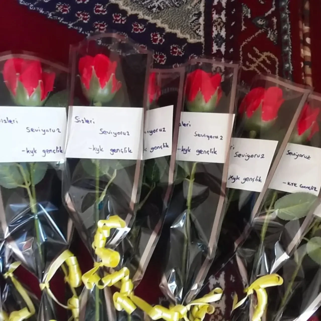 Gençlerden Huzurevin Ziyaret 1