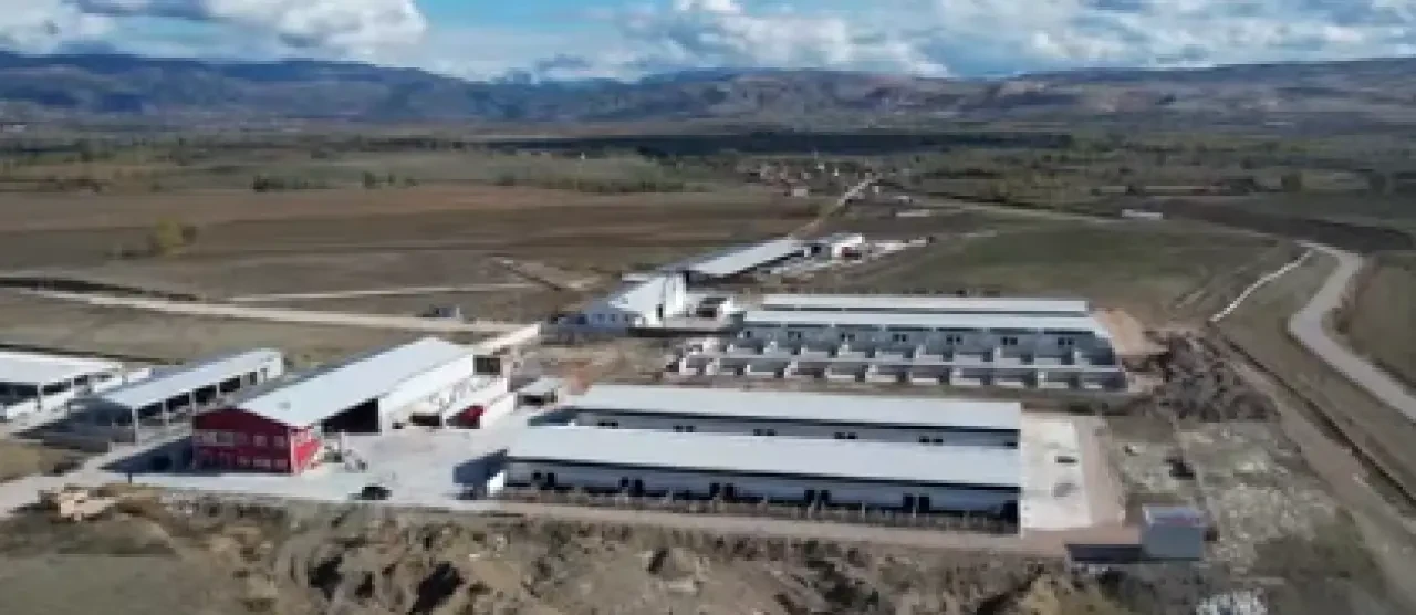 Amasya’nın Et Üretim Üssü Büyüyor! 4